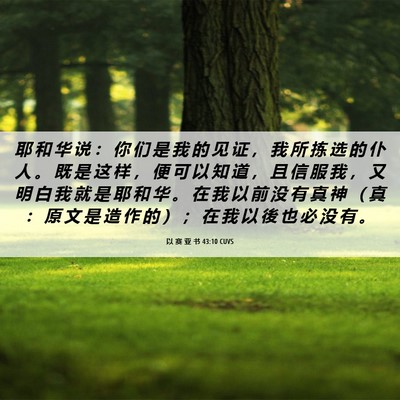 Picture 06 - 以 赛 亚 书 43:10 CUVS - 耶 和 华 说 ： 你 们 是 我 的 见 证 - Bible Verse Picture