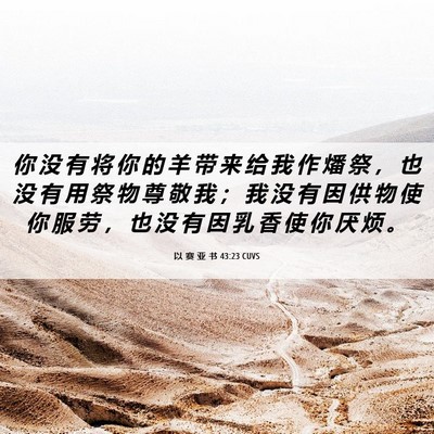 Picture 06 - 以 赛 亚 书 43:23 CUVS - 你 没 有 将 你 的 羊 带 来 给 我 作 - Bible Verse Picture
