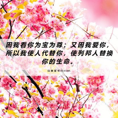 Picture 06 - 以 赛 亚 书 43:4 CUVS - 因 我 看 你 为 宝 为 尊 ； 又 因 我 - Bible Verse Picture