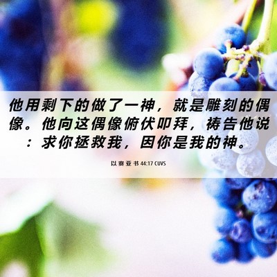 Picture 06 - 以 赛 亚 书 44:17 CUVS - 他 用 剩 下 的 做 了 一 神 ， 就 是 - Bible Verse Picture