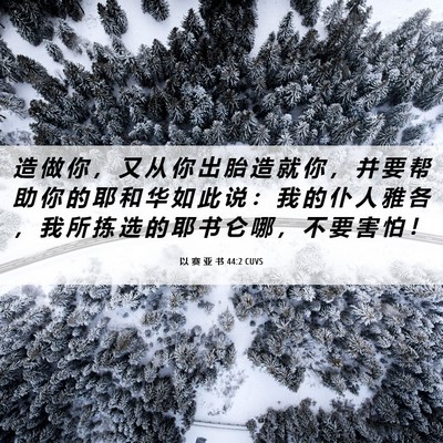 Picture 06 - 以 赛 亚 书 44:2 CUVS - 造 做 你 ， 又 从 你 出 胎 造 就 你 - Bible Verse Picture