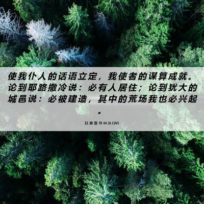 Picture 06 - 以 赛 亚 书 44:26 CUVS - 使 我 仆 人 的 话 语 立 定 ， 我 使 - Bible Verse Picture