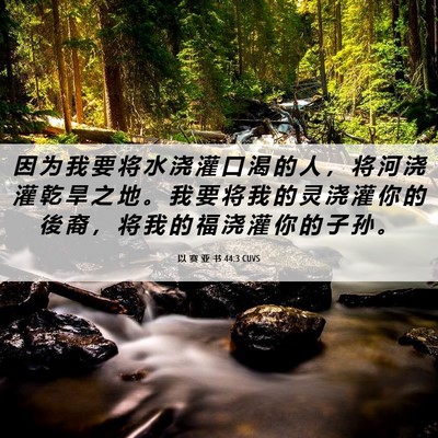 Picture 06 - 以 赛 亚 书 44:3 CUVS - 因 为 我 要 将 水 浇 灌 口 渴 的 人 - Bible Verse Picture