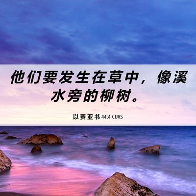 Picture 06 - 以 赛 亚 书 44:4 CUVS - 他 们 要 发 生 在 草 中 ， 像 溪 水 - Bible Verse Picture