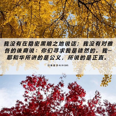 Picture 06 - 以 赛 亚 书 45:19 CUVS - 我 没 有 在 隐 密 黑 暗 之 地 说 话 - Bible Verse Picture