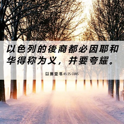 Picture 06 - 以 赛 亚 书 45:25 CUVS - 以 色 列 的 後 裔 都 必 因 耶 和 华 - Bible Verse Picture