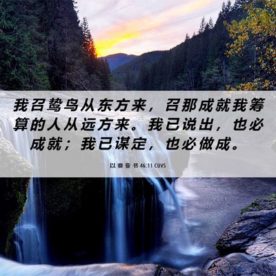 Picture 06 - 以 赛 亚 书 46:11 CUVS - 我 召 鸷 鸟 从 东 方 来 ， 召 那 成 - Bible Verse Picture