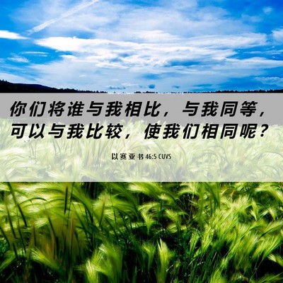 Picture 06 - 以 赛 亚 书 46:5 CUVS - 你 们 将 谁 与 我 相 比 ， 与 我 同 - Bible Verse Picture