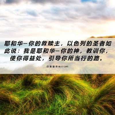 Picture 06 - 以 赛 亚 书 48:17 CUVS - 耶 和 华 ─ 你 的 救 赎 主 ， 以 色 - Bible Verse Picture