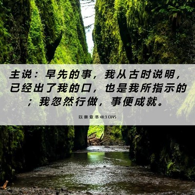 Picture 06 - 以 赛 亚 书 48:3 CUVS - 主 说 ： 早 先 的 事 ， 我 从 古 时 - Bible Verse Picture
