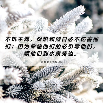 Picture 06 - 以 赛 亚 书 49:10 CUVS - 不 饥 不 渴 ， 炎 热 和 烈 日 必 不 - Bible Verse Picture