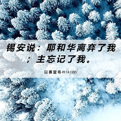 Picture 06 - 以 赛 亚 书 49:14 CUVS - 锡 安 说 ： 耶 和 华 离 弃 了 我 ； - Bible Verse Picture