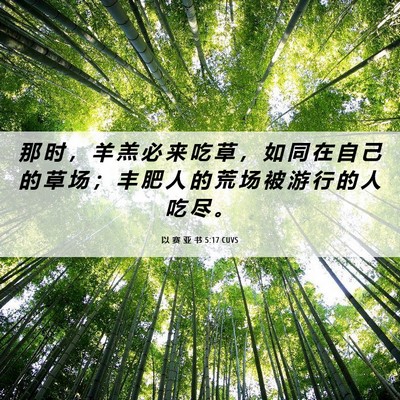 Picture 06 - 以 赛 亚 书 5:17 CUVS - 那 时 ， 羊 羔 必 来 吃 草 ， 如 同 - Bible Verse Picture