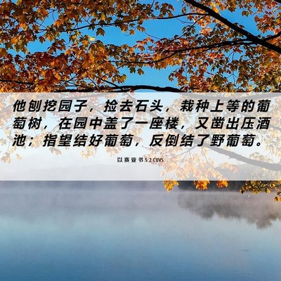Picture 06 - 以 赛 亚 书 5:2 CUVS - 他 刨 挖 园 子 ， 捡 去 石 头 ， 栽 - Bible Verse Picture