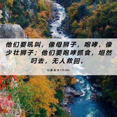 Picture 06 - 以 赛 亚 书 5:29 CUVS - 他 们 要 吼 叫 ， 像 母 狮 子 ， 咆 - Bible Verse Picture