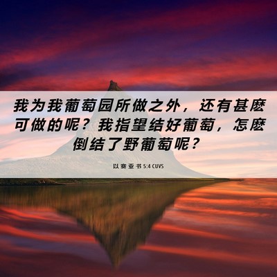 Picture 06 - 以 赛 亚 书 5:4 CUVS - 我 为 我 葡 萄 园 所 做 之 外 ， 还 - Bible Verse Picture