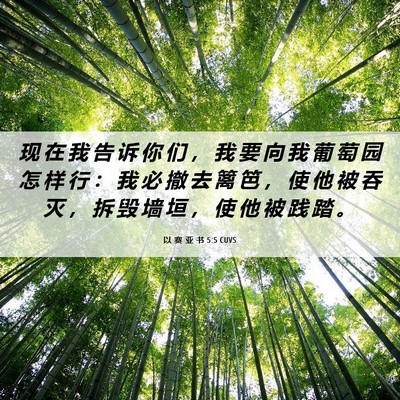 Picture 06 - 以 赛 亚 书 5:5 CUVS - 现 在 我 告 诉 你 们 ， 我 要 向 我 - Bible Verse Picture