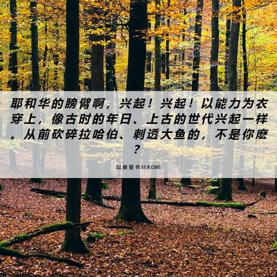 Picture 06 - 以 赛 亚 书 51:9 CUVS - 耶 和 华 的 膀 臂 啊 ， 兴 起 ！ 兴 - Bible Verse Picture