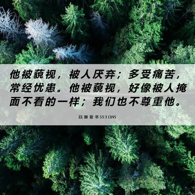 Picture 06 - 以 赛 亚 书 53:3 CUVS - 他 被 藐 视 ， 被 人 厌 弃 ； 多 受 - Bible Verse Picture