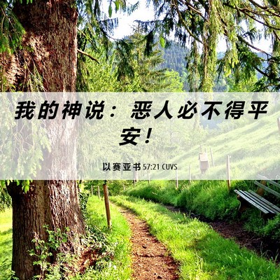 Picture 06 - 以 赛 亚 书 57:21 CUVS - 我 的 神 说 ： 恶 人 必 不 得 平 安 - Bible Verse Picture