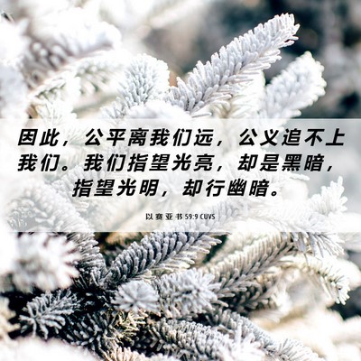 Picture 06 - 以 赛 亚 书 59:9 CUVS - 因 此 ， 公 平 离 我 们 远 ， 公 义 - Bible Verse Picture