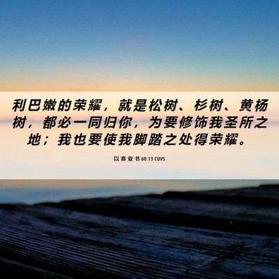Picture 06 - 以 赛 亚 书 60:13 CUVS - 利 巴 嫩 的 荣 耀 ， 就 是 松 树 、 - Bible Verse Picture