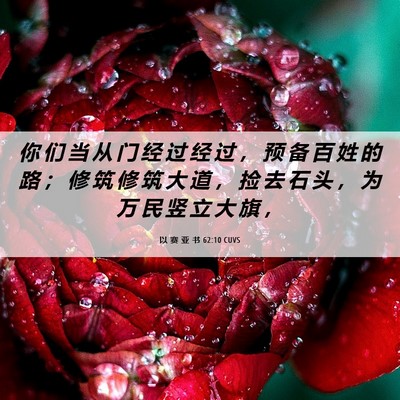 Picture 06 - 以 赛 亚 书 62:10 CUVS - 你 们 当 从 门 经 过 经 过 ， 预 备 - Bible Verse Picture