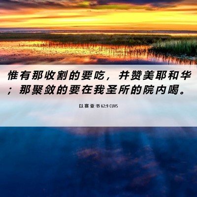 Picture 06 - 以 赛 亚 书 62:9 CUVS - 惟 有 那 收 割 的 要 吃 ， 并 赞 美 - Bible Verse Picture