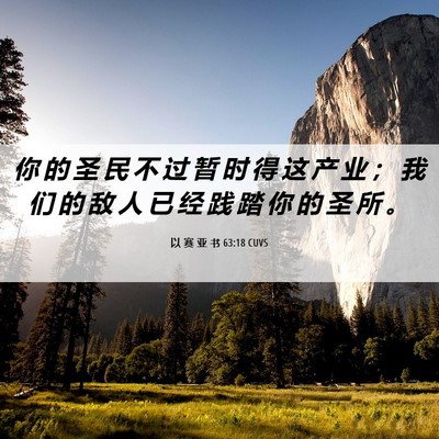 Picture 06 - 以 赛 亚 书 63:18 CUVS - 你 的 圣 民 不 过 暂 时 得 这 产 业 - Bible Verse Picture