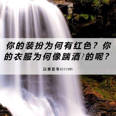Picture 06 - 以 赛 亚 书 63:2 CUVS - 你 的 装 扮 为 何 有 红 色 ？ 你 的 - Bible Verse Picture