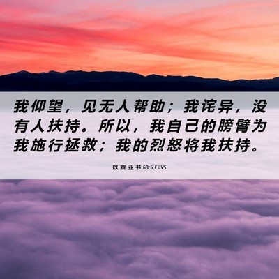 Picture 06 - 以 赛 亚 书 63:5 CUVS - 我 仰 望 ， 见 无 人 帮 助 ； 我 诧 - Bible Verse Picture