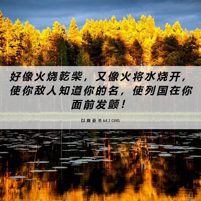 Picture 06 - 以 赛 亚 书 64:2 CUVS - 好 像 火 烧 乾 柴 ， 又 像 火 将 水 - Bible Verse Picture