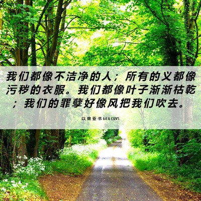 Picture 06 - 以 赛 亚 书 64:6 CUVS - 我 们 都 像 不 洁 净 的 人 ； 所 有 - Bible Verse Picture