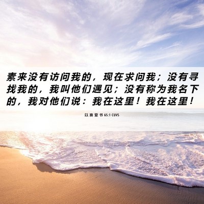 Picture 06 - 以 赛 亚 书 65:1 CUVS - 素 来 没 有 访 问 我 的 ， 现 在 求 - Bible Verse Picture