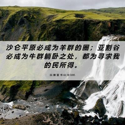 Picture 06 - 以 赛 亚 书 65:10 CUVS - 沙 仑 平 原 必 成 为 羊 群 的 圈 ； - Bible Verse Picture