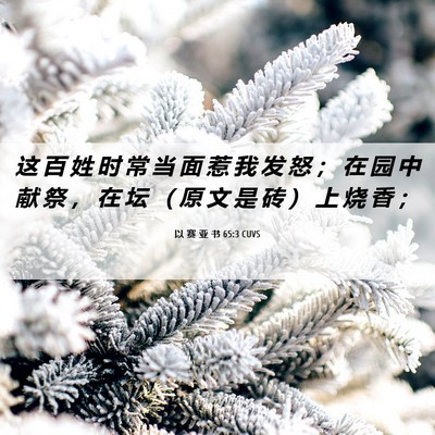 Picture 06 - 以 赛 亚 书 65:3 CUVS - 这 百 姓 时 常 当 面 惹 我 发 怒 ； - Bible Verse Picture
