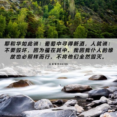 Picture 06 - 以 赛 亚 书 65:8 CUVS - 耶 和 华 如 此 说 ： 葡 萄 中 寻 得 - Bible Verse Picture