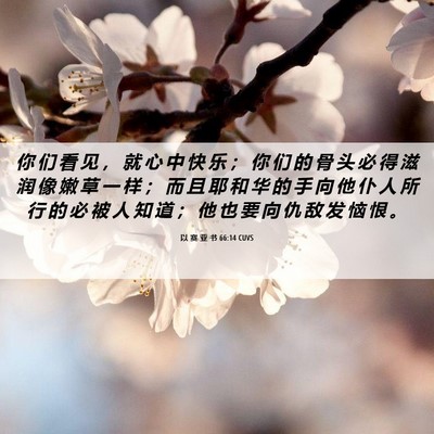 Picture 06 - 以 赛 亚 书 66:14 CUVS - 你 们 看 见 ， 就 心 中 快 乐 ； 你 - Bible Verse Picture