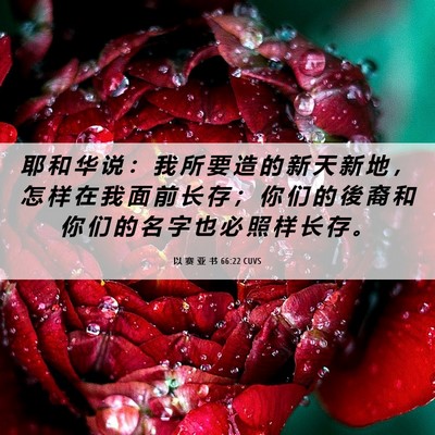 Picture 06 - 以 赛 亚 书 66:22 CUVS - 耶 和 华 说 ： 我 所 要 造 的 新 天 - Bible Verse Picture