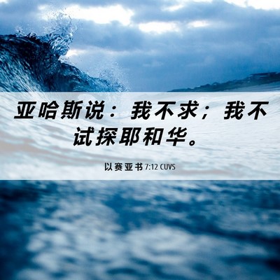 Picture 06 - 以 赛 亚 书 7:12 CUVS - 亚 哈 斯 说 ： 我 不 求 ； 我 不 试 - Bible Verse Picture