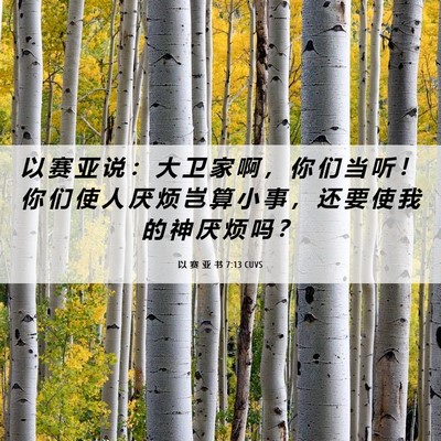 Picture 06 - 以 赛 亚 书 7:13 CUVS - 以 赛 亚 说 ： 大 卫 家 啊 ， 你 们 - Bible Verse Picture