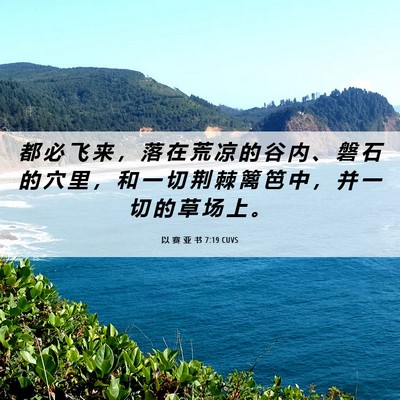 Picture 06 - 以 赛 亚 书 7:19 CUVS - 都 必 飞 来 ， 落 在 荒 凉 的 谷 内 - Bible Verse Picture