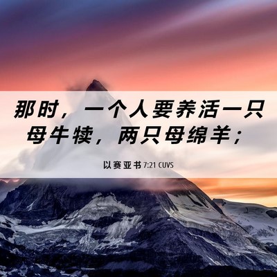 Picture 06 - 以 赛 亚 书 7:21 CUVS - 那 时 ， 一 个 人 要 养 活 一 只 母 - Bible Verse Picture