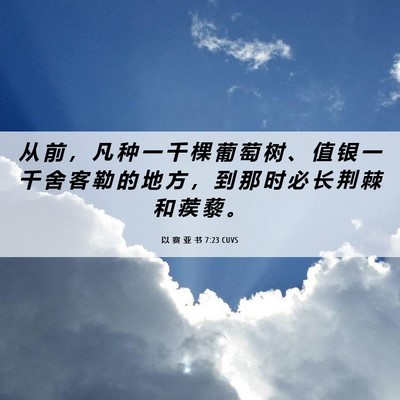 Picture 06 - 以 赛 亚 书 7:23 CUVS - 从 前 ， 凡 种 一 千 棵 葡 萄 树 、 - Bible Verse Picture