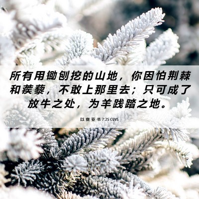 Picture 06 - 以 赛 亚 书 7:25 CUVS - 所 有 用 锄 刨 挖 的 山 地 ， 你 因 - Bible Verse Picture