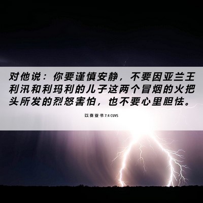 Picture 06 - 以 赛 亚 书 7:4 CUVS - 对 他 说 ： 你 要 谨 慎 安 静 ， 不 - Bible Verse Picture