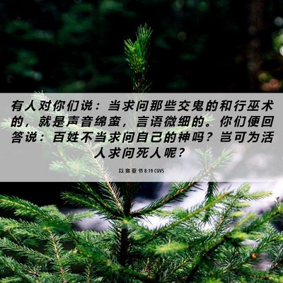 Picture 06 - 以 赛 亚 书 8:19 CUVS - 有 人 对 你 们 说 ： 当 求 问 那 些 - Bible Verse Picture