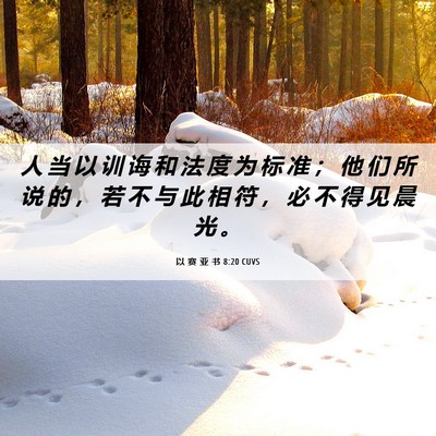 Picture 06 - 以 赛 亚 书 8:20 CUVS - 人 当 以 训 诲 和 法 度 为 标 准 ； - Bible Verse Picture