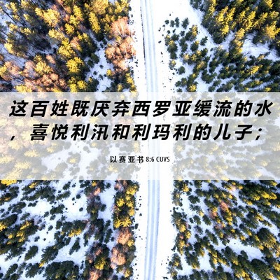 Picture 06 - 以 赛 亚 书 8:6 CUVS - 这 百 姓 既 厌 弃 西 罗 亚 缓 流 的 - Bible Verse Picture