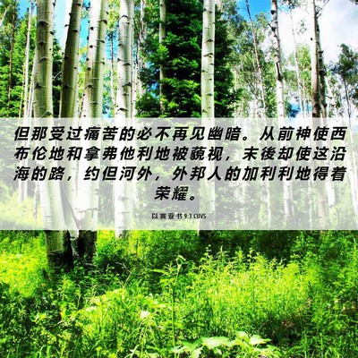 Picture 06 - 以 赛 亚 书 9:1 CUVS - 但 那 受 过 痛 苦 的 必 不 再 见 幽 - Bible Verse Picture
